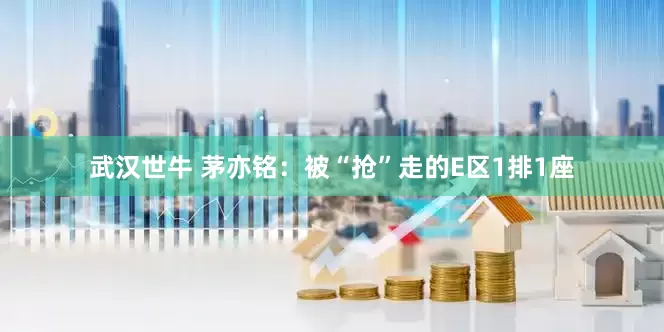 武汉世牛 茅亦铭：被“抢”走的E区1排1座