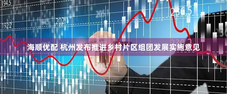 海顺优配 杭州发布推进乡村片区组团发展实施意见