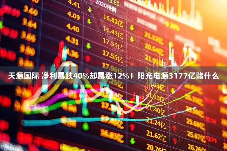 天源国际 净利暴跌40%却暴涨12%！阳光电源3177亿赌什么