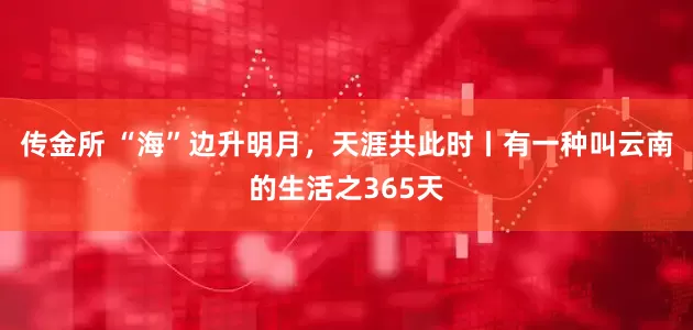 传金所 “海”边升明月，天涯共此时丨有一种叫云南的生活之365天